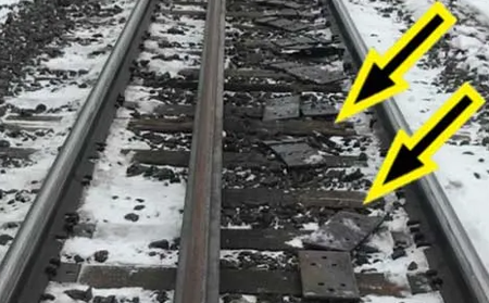 rail clip rail clip